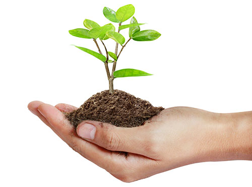 Sostenibilità green immagine esempio